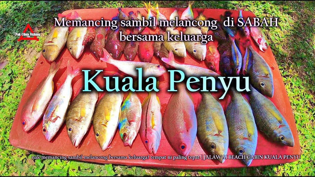 Memancing sambil melancong? tempat ini paling tepat !  | JALAWAI BEACH CABIN KUALA PENYU