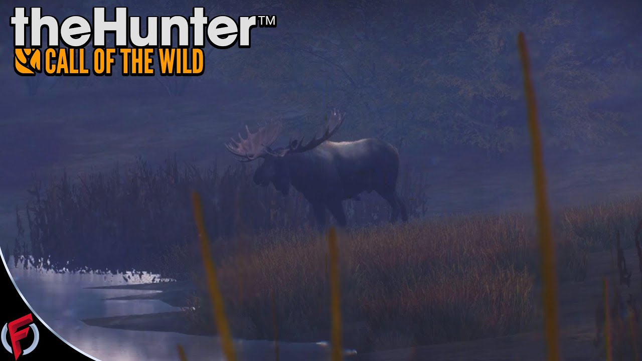 the hunter call of the wild diamond moose