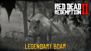 Legendary Boar Hunting Guide Red Dead Redemption 2 Ps5 2026