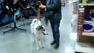 Mr Buffett goes shopping in Lancaster 2