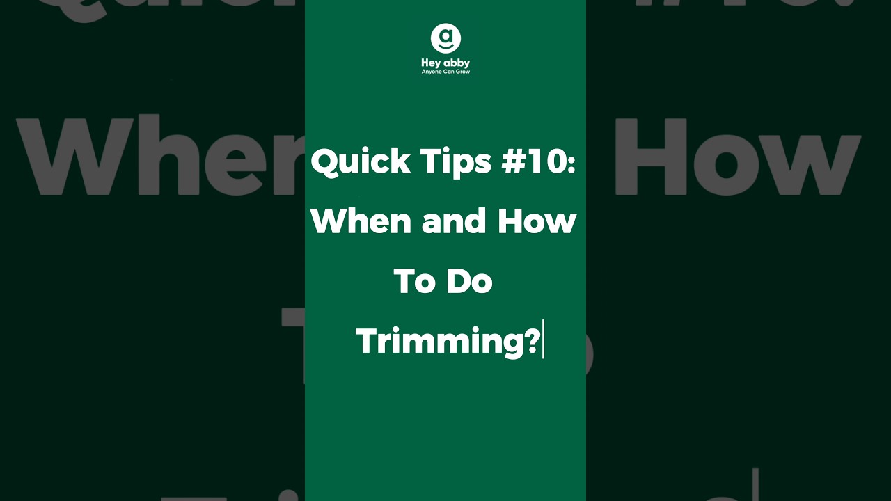 Quick Tips #10: How to do Trimming?