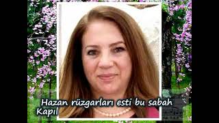 HİLMİ GÖK-\