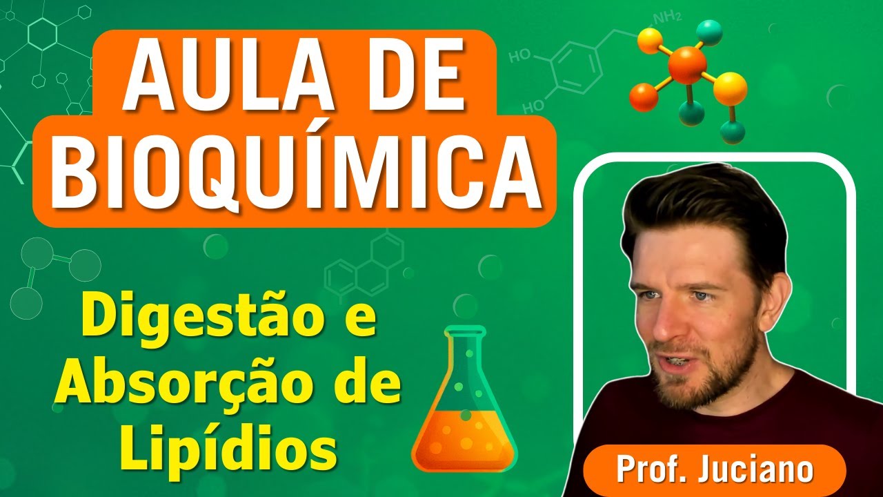 DIGESTÃO E ABSORÇÃO DE LIPÍDIOS - Aula de Bioquímica - Ensino Superior