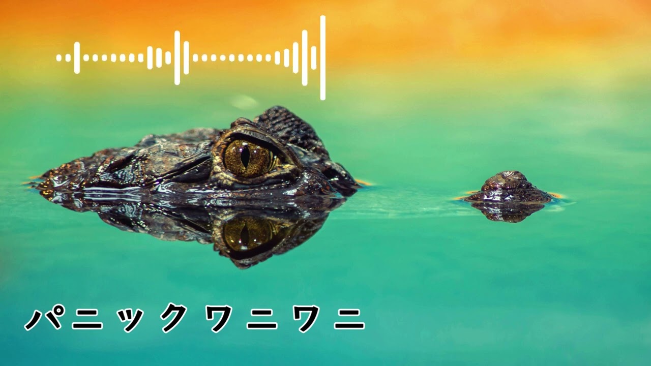 かわいいフリーBGM｜パニックワニワニ