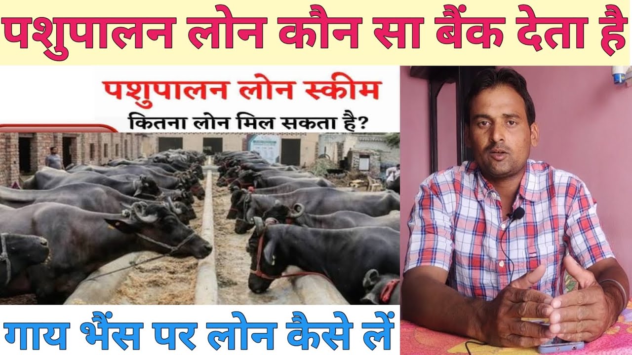 पशुपालन लोन कौन सा बैंक देता है Pashupalan Loan Yojana Dairy Farm