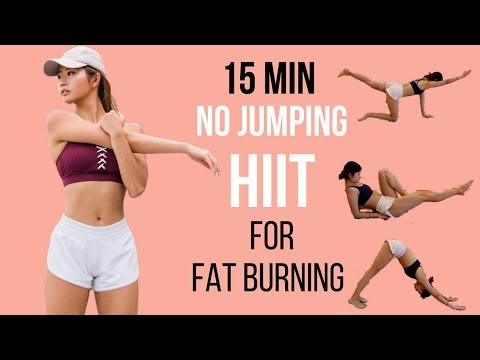 BEST 15 min Beginner Workout for Fat Burning (NO JUMPING HIIT!!!)