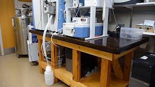 DIY Lab Table/ WORK BENCH ... TOUGH, Sturdy, BIG, and easy to build ... 36" x 78" top