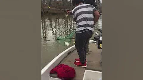 High Rock Lake Crappie slabs 2-2018