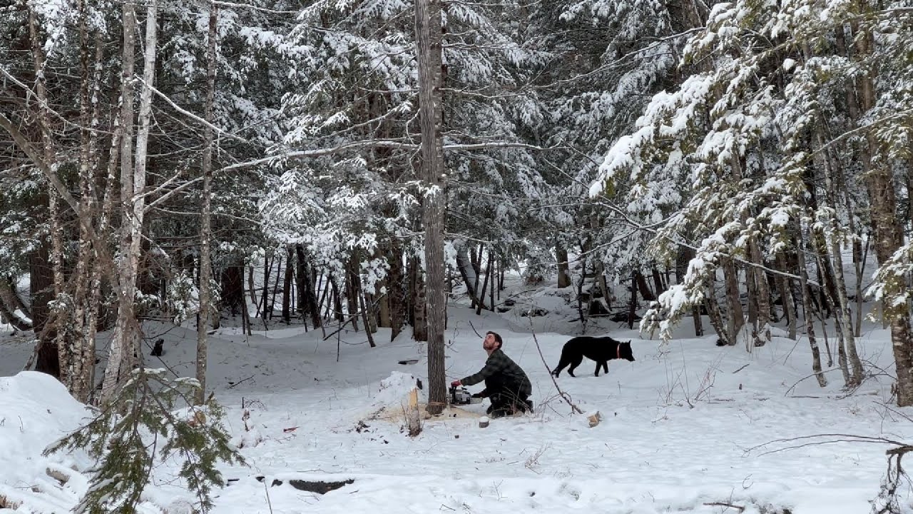 Cutting Trees to Expand the Pond