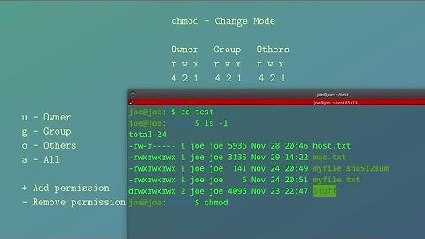 Change File And Directory Permissions (chmod) In Ubuntu 22.04