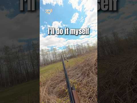 Upland hunting with an angry dog