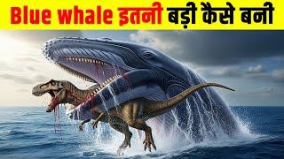 Blue Whale इतनी बड़ी कैसे बनी? Why are blue whales bigger than dinosaurs?