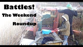 Roo moves house...ish | No Dig plot Weekend Roundup