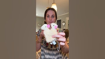 our catnip adventure 😅 #cats #catnip #homegrowncatnip #catparents #catniptoy #cattoys