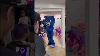 Derpy tiger en Melositos