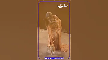 القطة تخطف الأضواء من أنغام على المسرح 