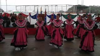 Danzas Viva Pedraza Toro Cimarron 1