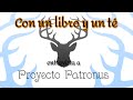 HARRY POTTER - PROYECTO PATRONUS