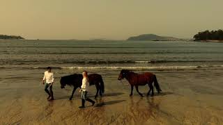 Caballos PURA RAZA GALEGA - Ruta por la playa