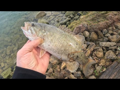 #Small mouth bass fishing (catch and release )on jig