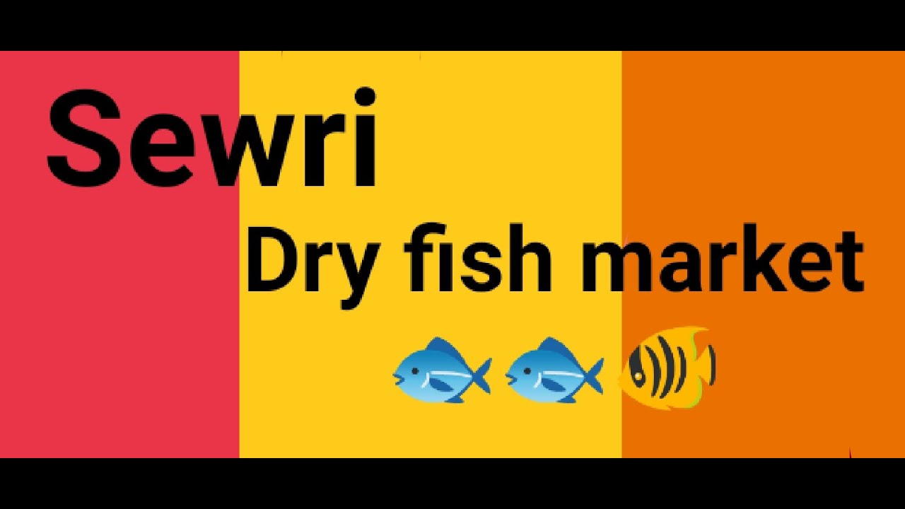 Sewri Dry Fish Market!🐟 sewri fish market YouTube