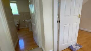 IMG 6562