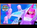 Aqua Pups and the Swarm of Jelly Fish 🌊| PAW Patrol | Toy Play for Kids