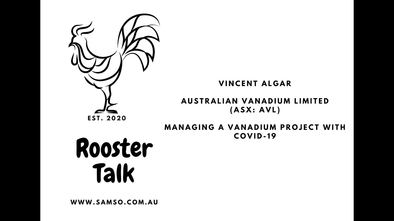 Managing a Vanadium project with COVID-19