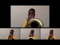 Ooo Baby Baby - Smoky Robinson (Trumpet Cover)