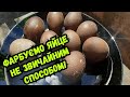 Фарбуємо яйця на свято Великдень! Видео експеремент покраски яиц на Пасху.