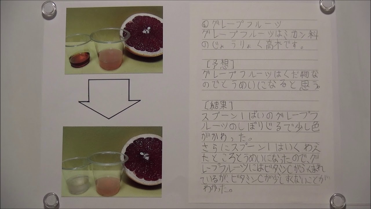 夏休み自由研究うがい薬でビタミンｃを調べる実験のまとめ方 提出用 動画あり 発表の仕方 関西中学受験体験ブログ 目指せ中学受験 コッコとたぬりの大冒険 18年受験体験記22年受験を目指す過程をお伝えします