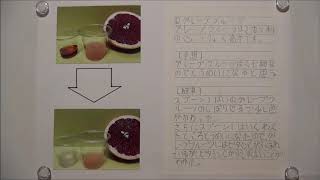 夏休み自由研究うがい薬でビタミンｃを調べる実験のまとめ方 提出用 動画あり 発表の仕方 関西中学受験体験ブログ 目指せ中学受験 コッコとたぬりの大冒険 18年受験体験記22年受験を目指す過程をお伝えします Part 3