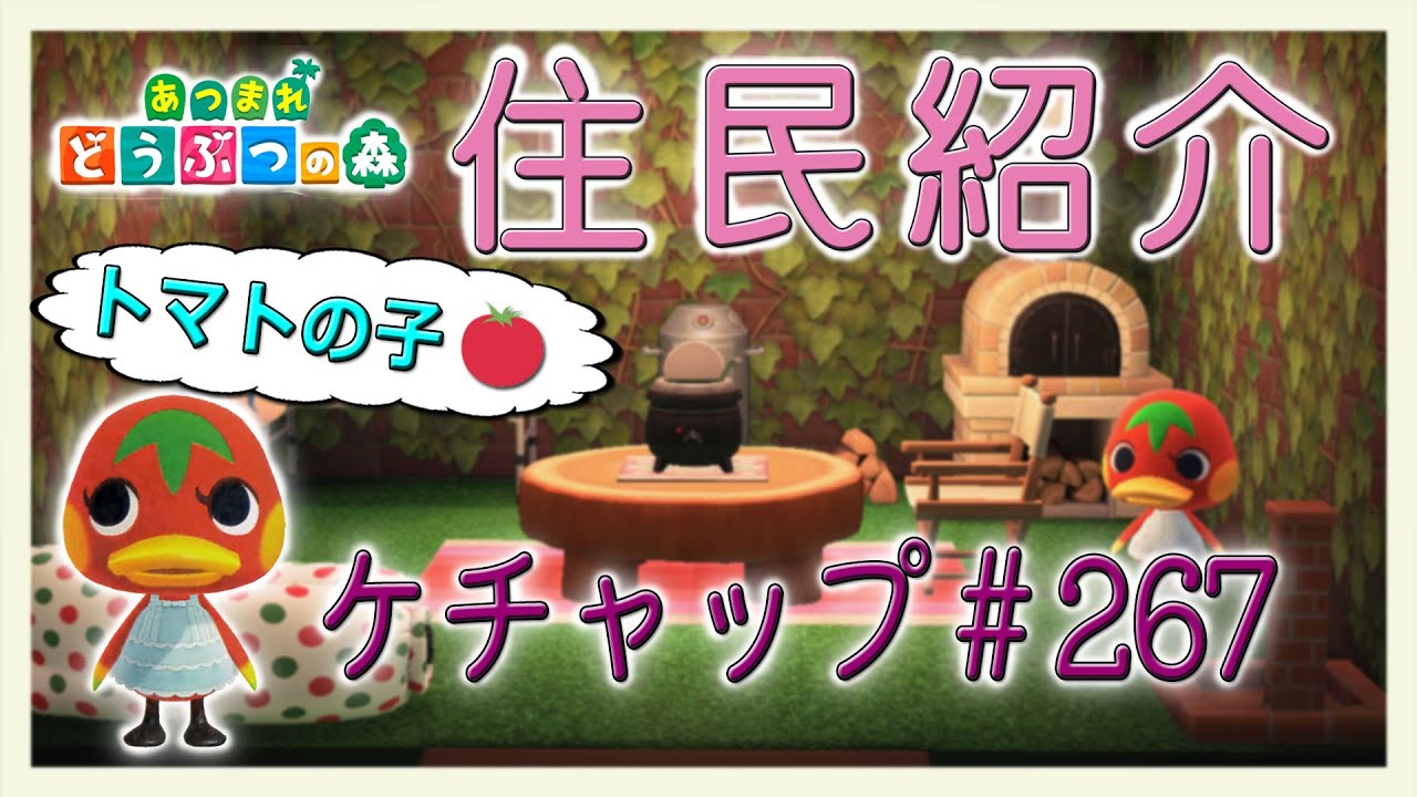 Introducing New Horizons Villagers: Ketchup #267 - YouTube