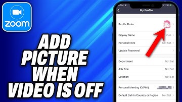 How To Add Picture when Video Is Off Zoom (2025) - Easy Fix