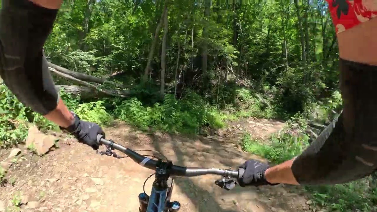 Ingles Field Gap MTB trail, Asheville NC