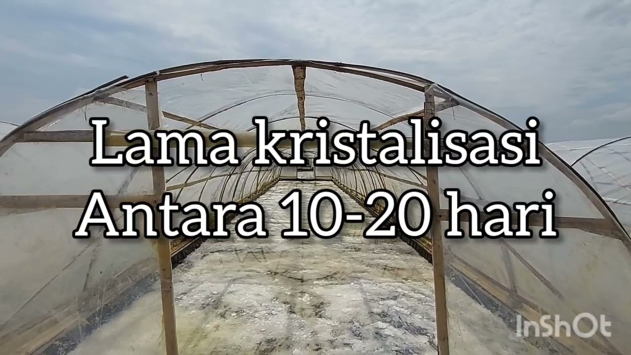 Cara Produksi Garam Gerosok di Media Tunnel