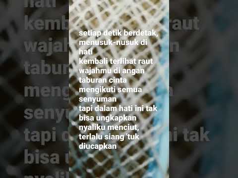 Novi Banjarnegara Feat Bondan Prakoso || Bunga - Part 1