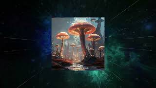 Miyuki - Cloud Forest (Extended Mix) [ Nocturnal Knights Music ]