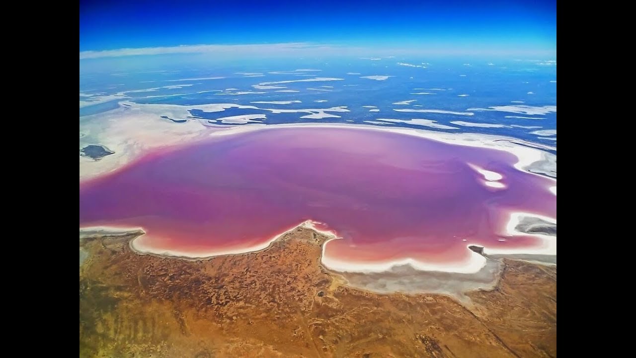Озеро эйр находится в. Озеро Eyre Австралия. Озеро Эйр-Норт в Австралии. Торренс озеро в Австралии. Эйр-Норт самое большое озеро Австралии.