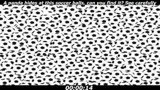 Panda puzzle: A panda hides at this soccer balls, can you find it? See carefully screenshot 5