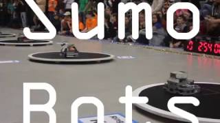 Watauga SumoBots 2017