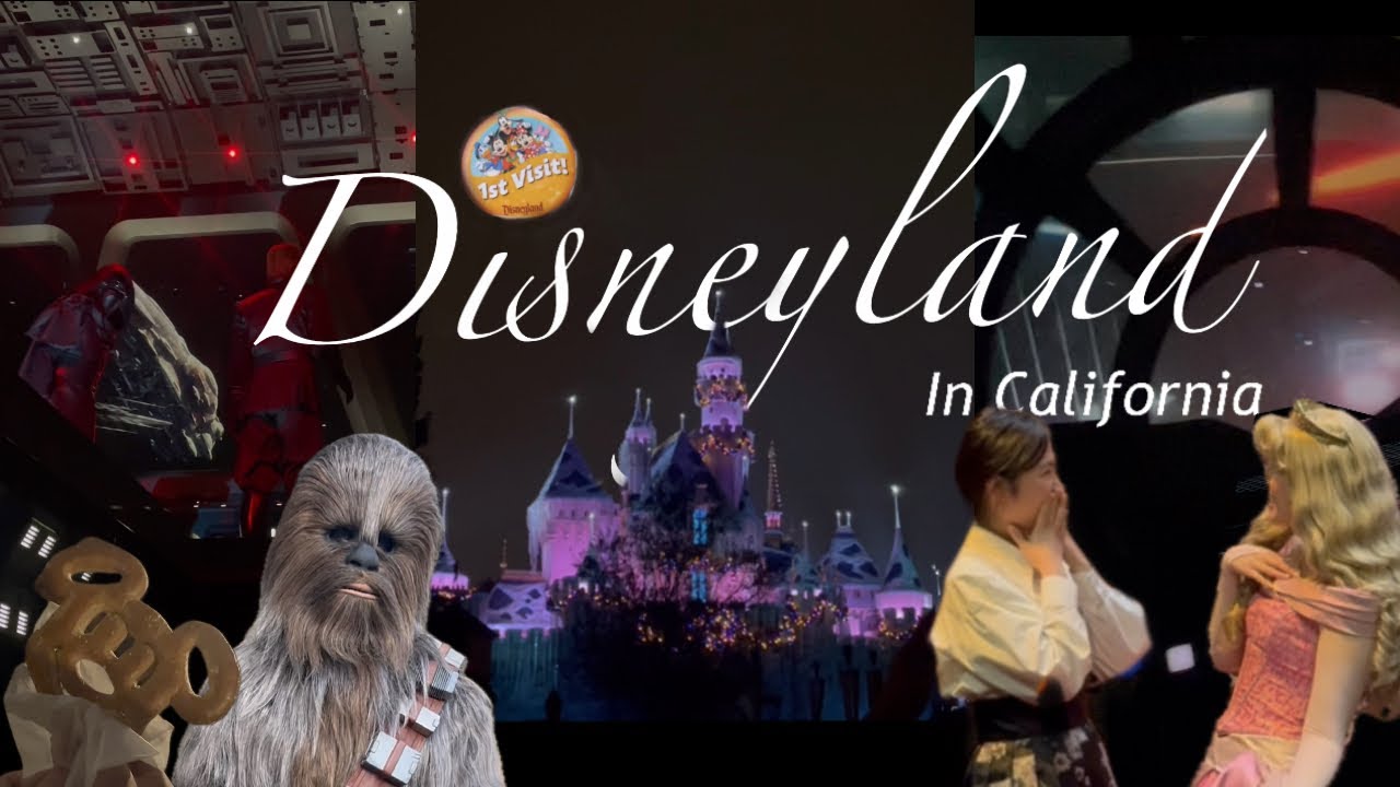 한복입고 간 LA 디즈니랜드 브이로그🎠 디즈니 파크 + 라이트닝 레인 멀티패스