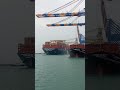 MSC Cantianer Ship MSC #ship #ekmotahathighumechala #gameskhelkarpaisekai #shipping