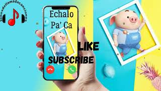 Echalo Pa' Ca descargar tonos de llamada | Tonos de llamada gratis | Tonosdellamadacanciones.com screenshot 3