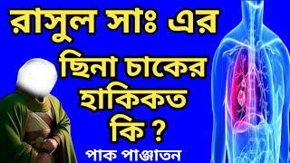 জেনে নিন রাসুল সাঃ এর ছিনা চাকের হাকিকত কি _পাক পাঞ্জাতন তত্ত্ব