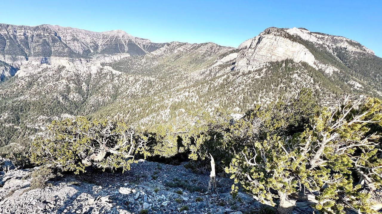 Fletcher Peak descent via Mummy Springs and Cougar Ridge