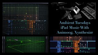 Ambient Tuesdays: iPad Music with Animoog, Xynthesizr