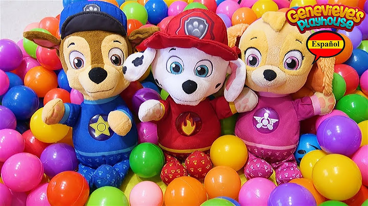 ¡Paw Patrol solo en Casa Juguete Divertido Video de Aprendizaje para Niños!