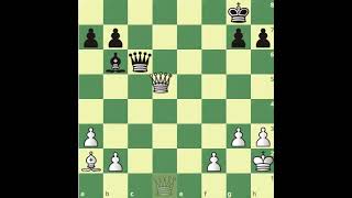 This official Chess Law is unfair