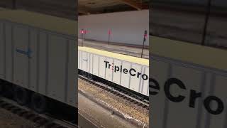 When Roadrailers Ruled The Rails